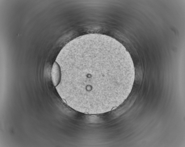 X0000112400287200909251442