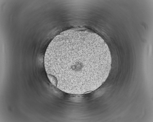 X0000112400288200909251442