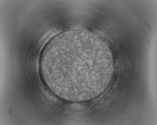 X0000112400290200909251441