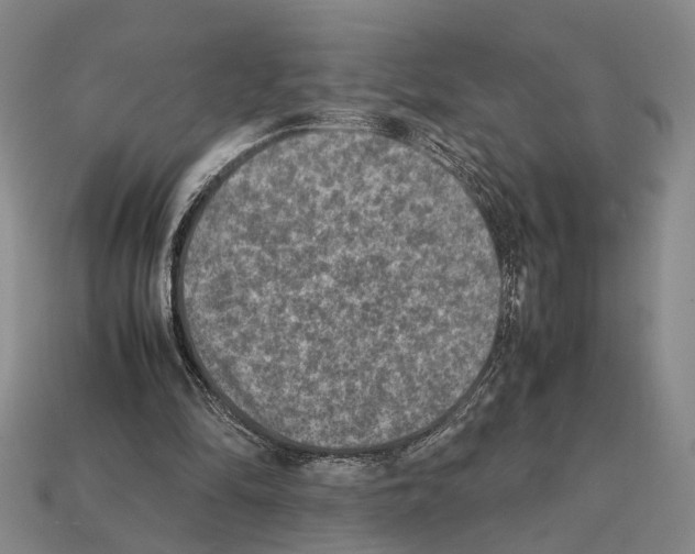 X0000112400294200909251441