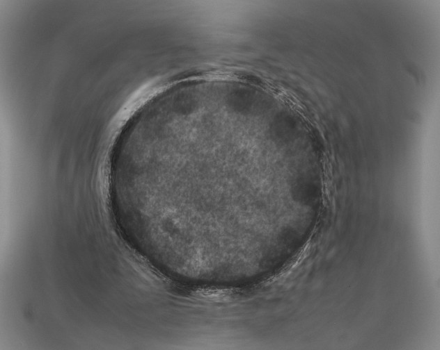 X0000112400295200909251441