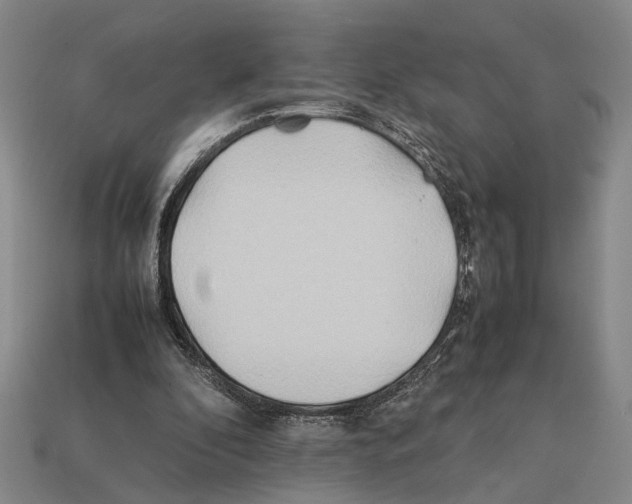 X0000112400296200909251441