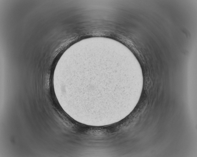 X0000112400299200909251441