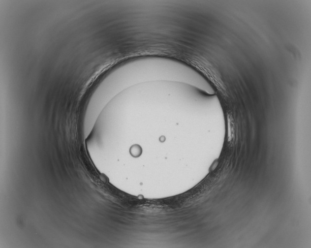 X0000112400300200909251441