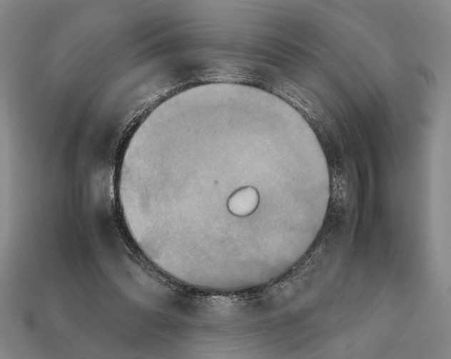 X0000112400302200909251441