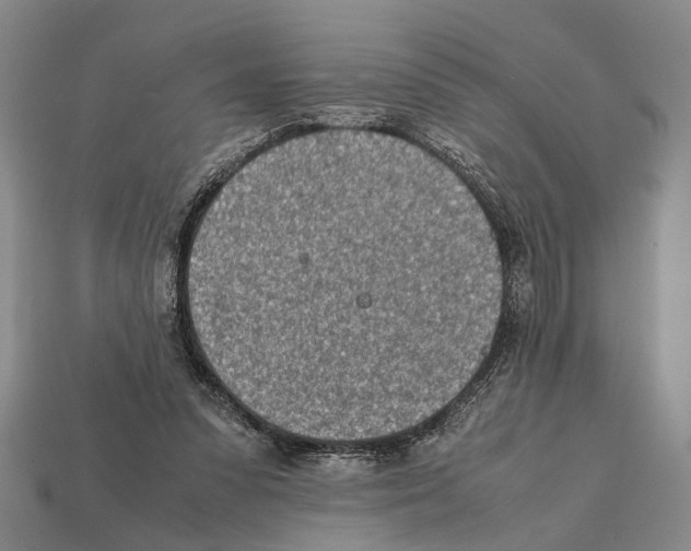 X0000112400303200909251441