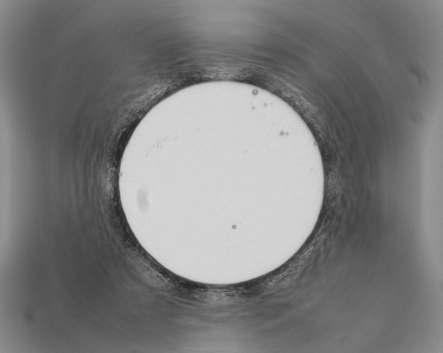 X0000112400305200909251441