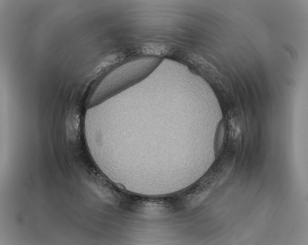 X0000112400308200909251441