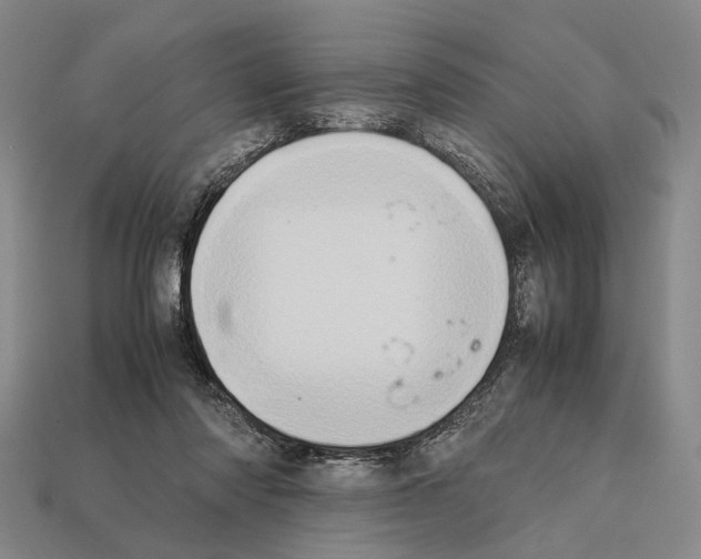 X0000112400310200909251441