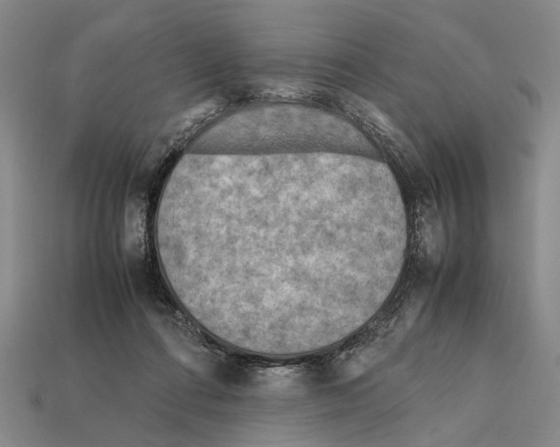 X0000112400312200909251441