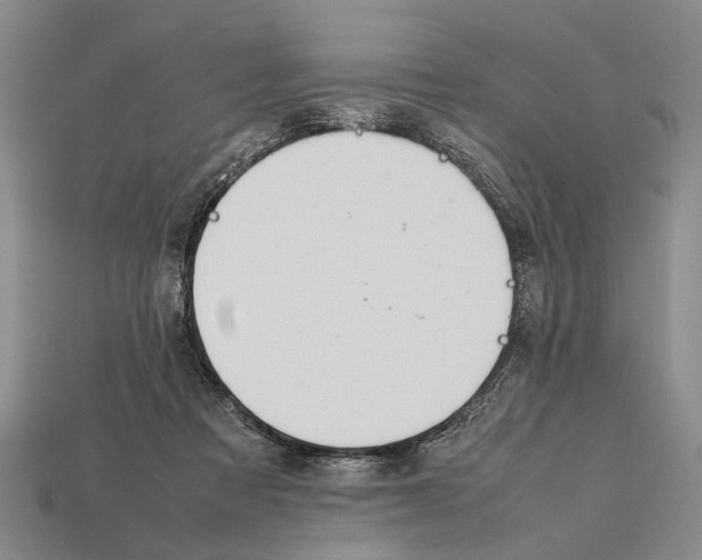 X0000112400313200909251441