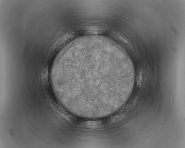 X0000112400314200909251441