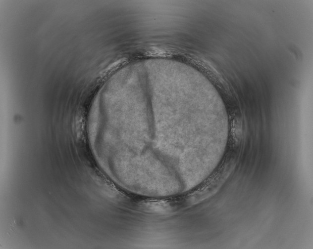 X0000112400322200909251441