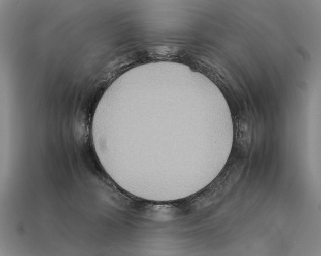 X0000112400324200909251441