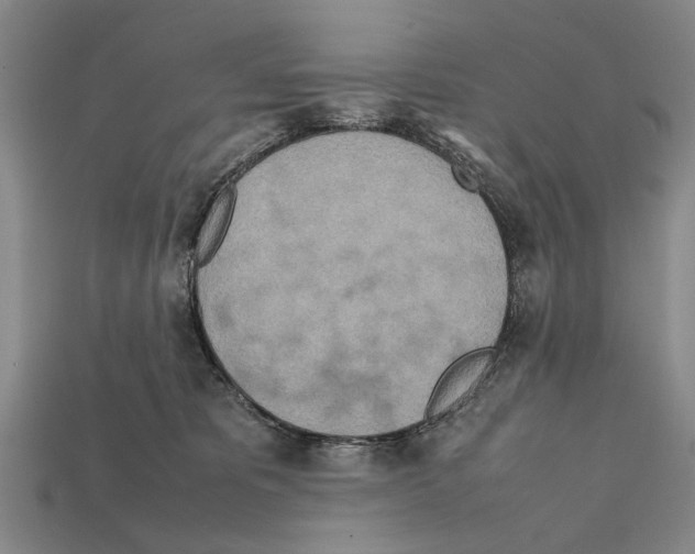 X0000112400325200909251441