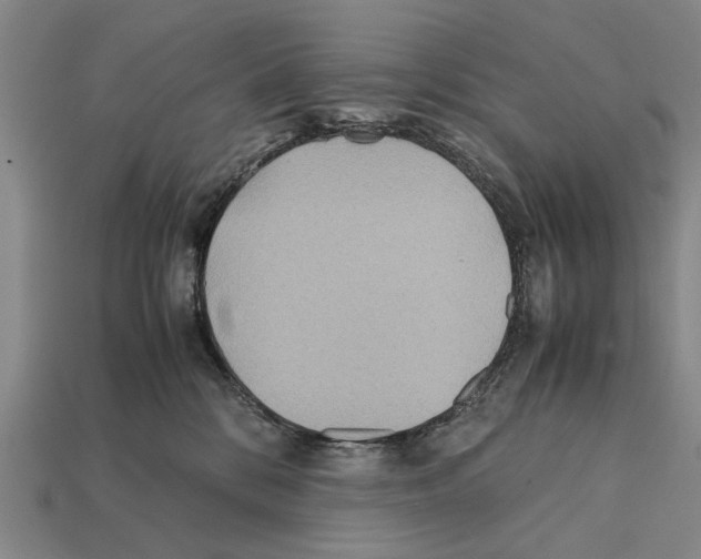 X0000112400328200909251441