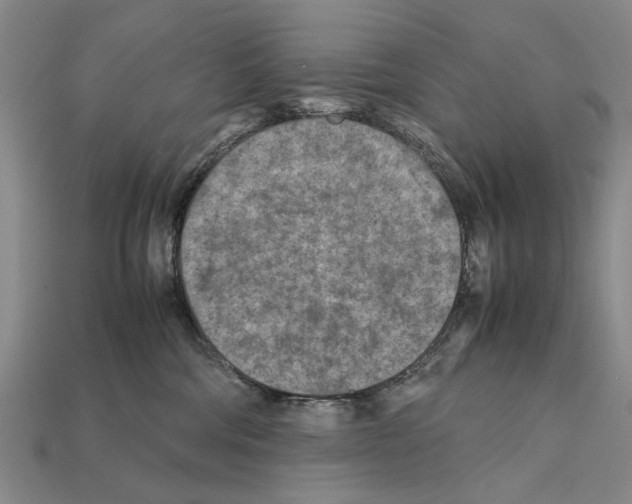 X0000112400330200909251441