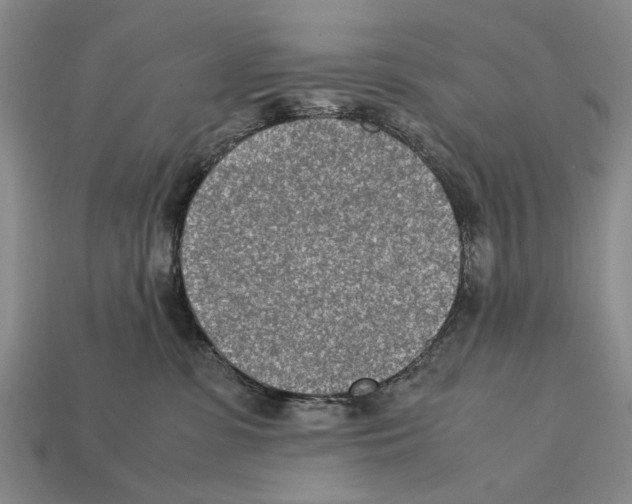 X0000112400331200909251441
