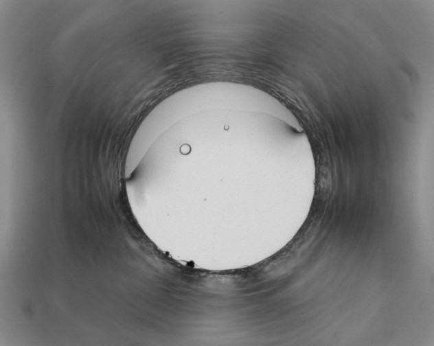 X0000112400332200909251441