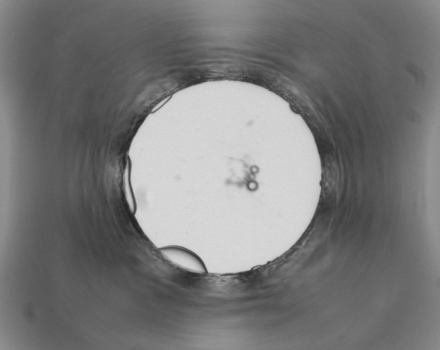 X0000112400333200909251441