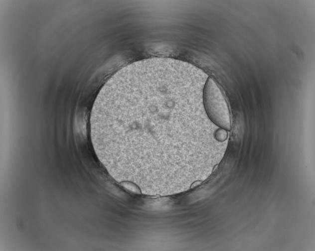 X0000112400334200909251441
