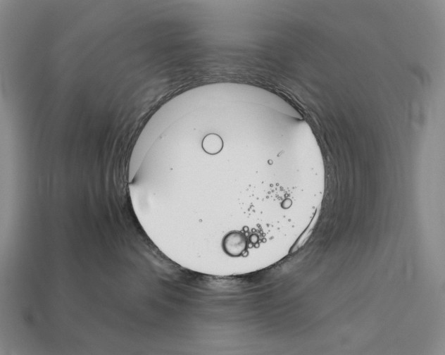 X0000112400336200909251441