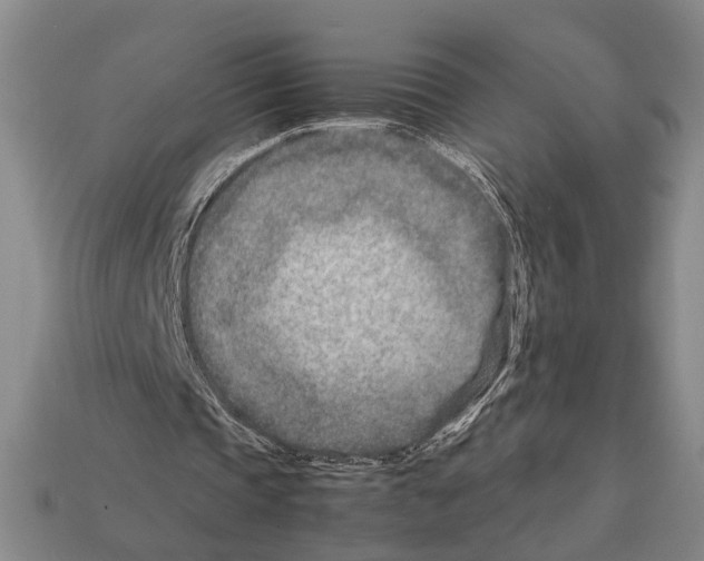 X0000112400337200909251440