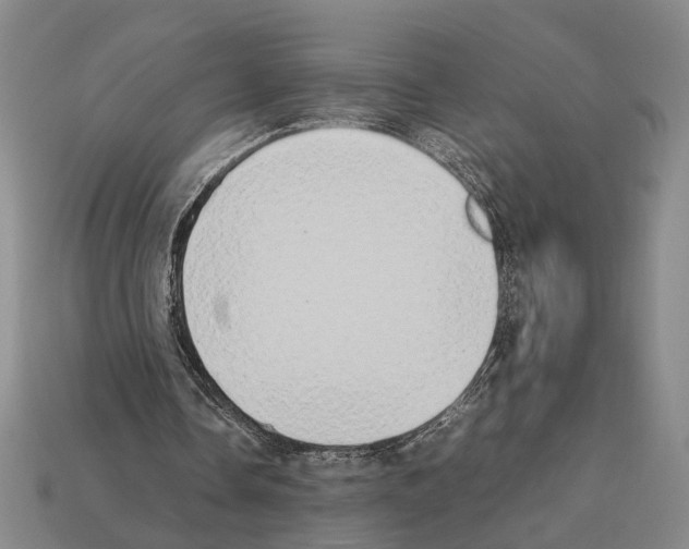 X0000112400338200909251440