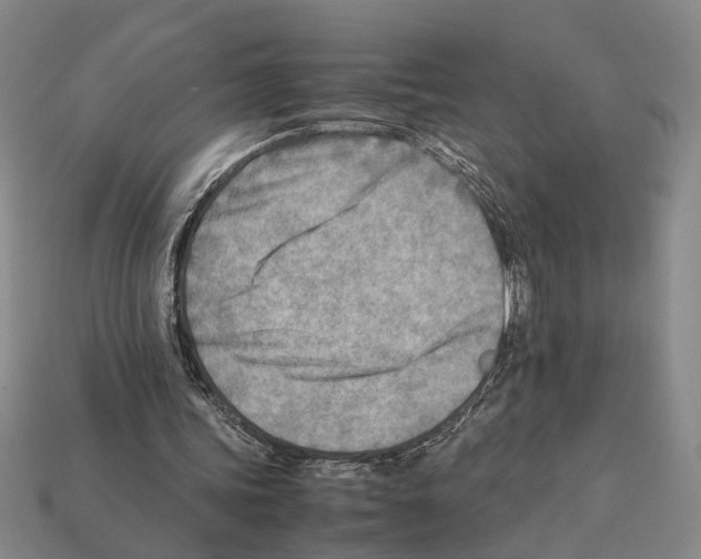 X0000112400339200909251440