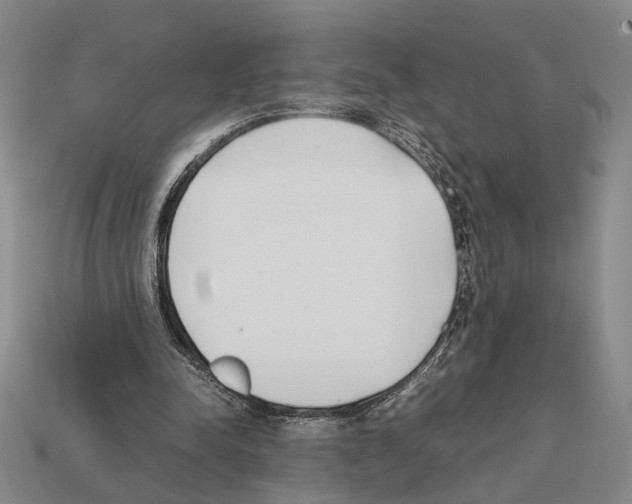 X0000112400342200909251440
