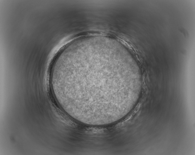 X0000112400343200909251440