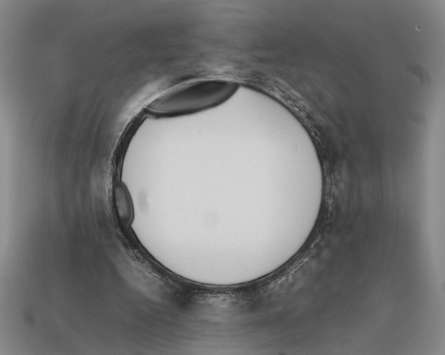 X0000112400344200909251440
