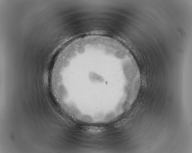 X0000112400347200909251440