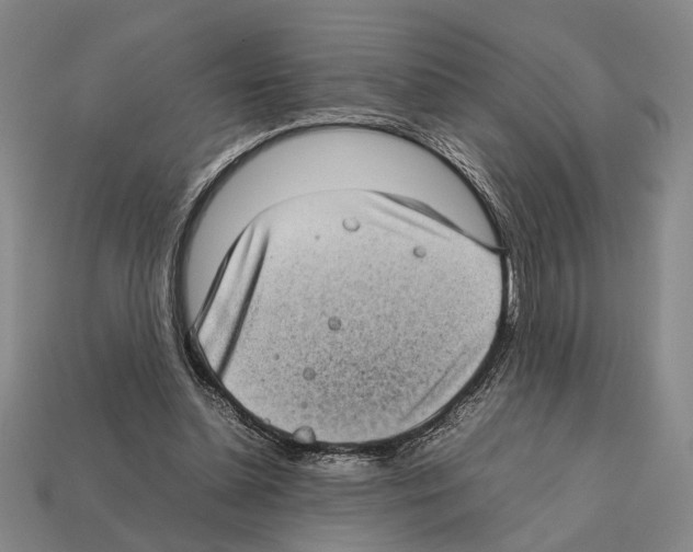 X0000112400348200909251440