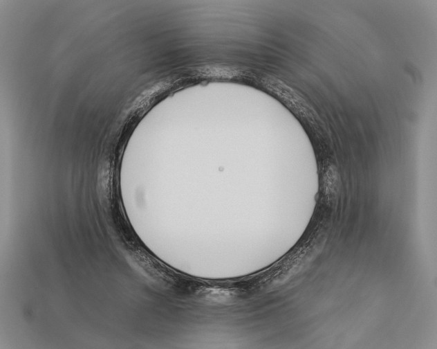 X0000112400352200909251440