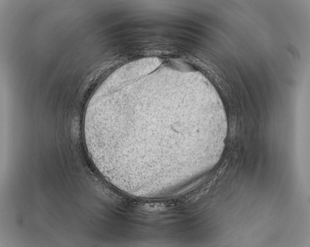 X0000112400353200909251440