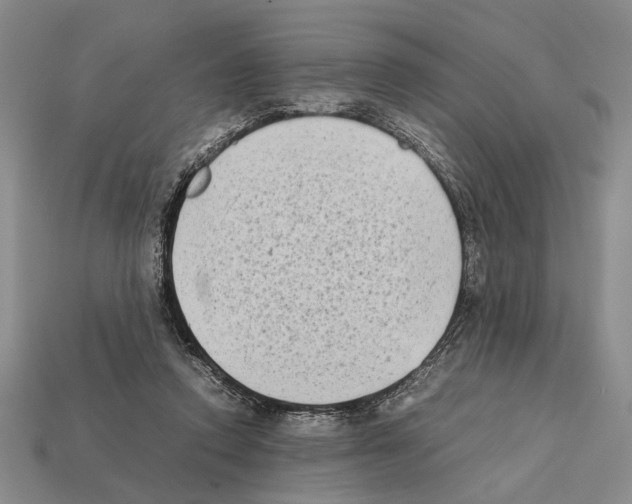 X0000112400354200909251440