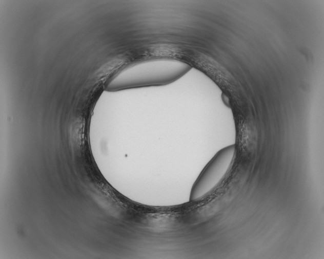 X0000112400356200909251440