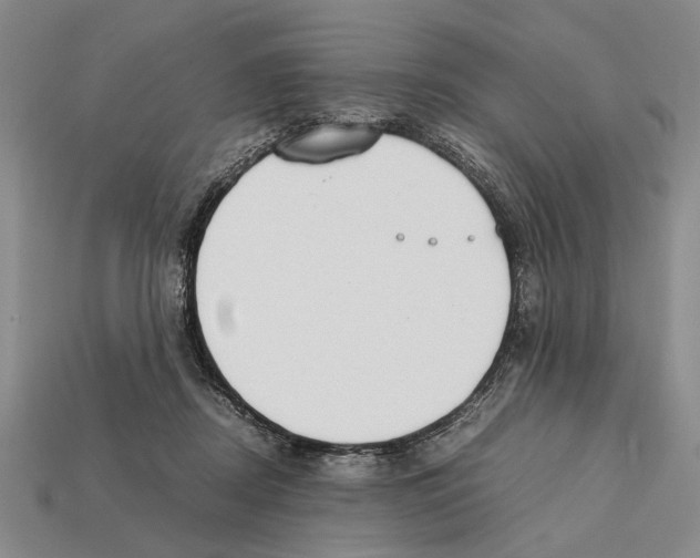 X0000112400362200909251440