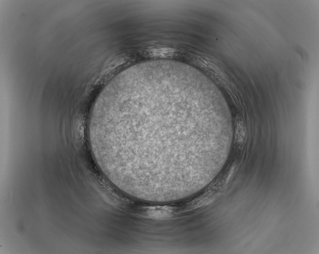 X0000112400363200909251440