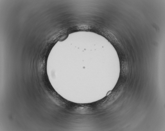 X0000112400364200909251440