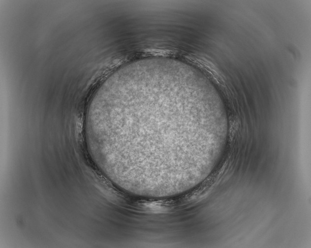 X0000112400365200909251440