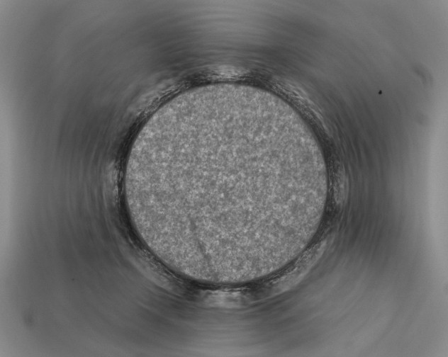 X0000112400366200909251440