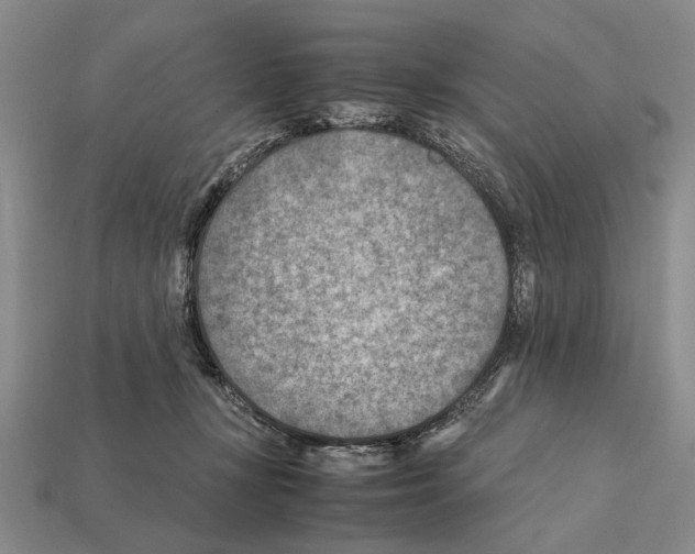 X0000112400367200909251440