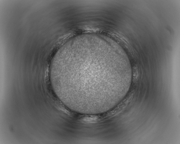 X0000112400369200909251440