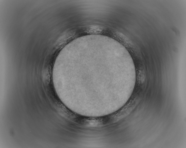 X0000112400370200909251440