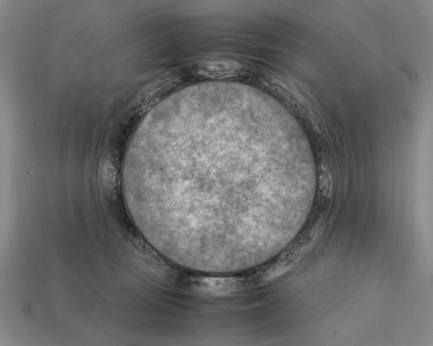 X0000112400371200909251440