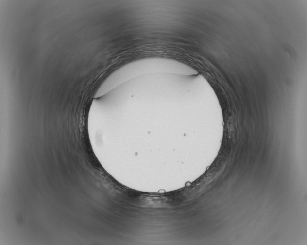 X0000112400372200909251440