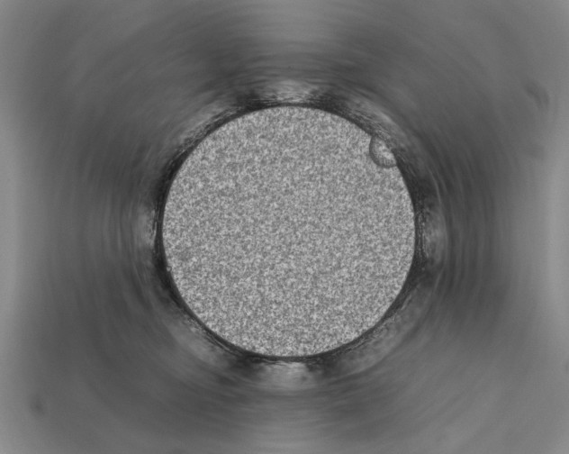 X0000112400374200909251440