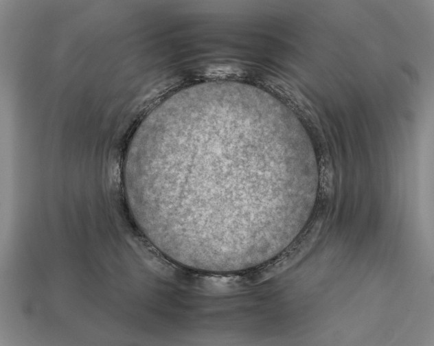 X0000112400375200909251440